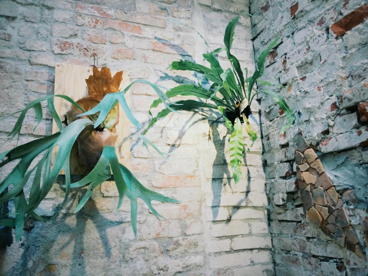 טאינאן Xiaobei Home2 מראה חיצוני תמונה